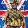 British Army Soldier Diamond By Paintings
